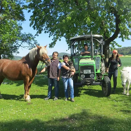 Ponyhof Adam Urlaub Auf Dem Bauernhof Apartment Eschlkam Exterior photo