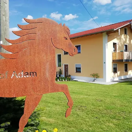 Ponyhof Adam Urlaub Auf Dem Bauernhof Apartment Eschlkam Exterior photo