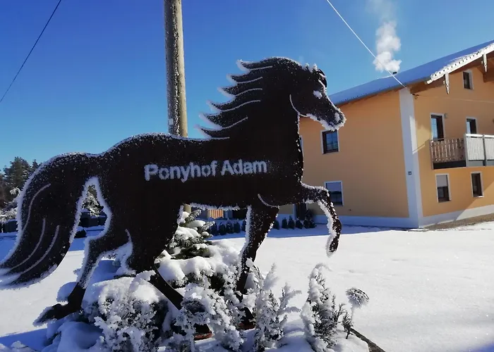 Ponyhof Adam Urlaub Auf Dem Bauernhof
