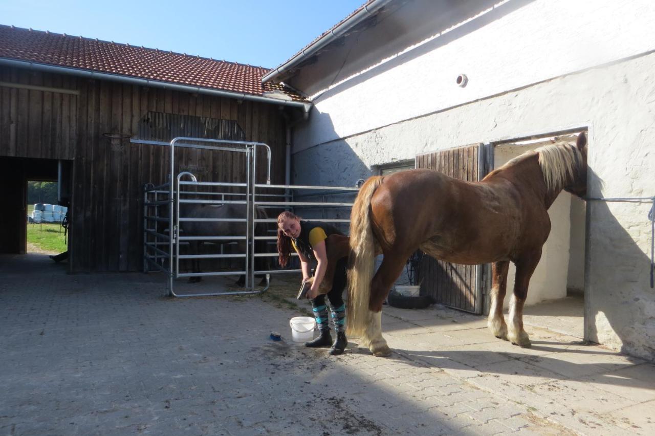 Ponyhof Adam Urlaub Auf Dem Bauernhof Eschlkam