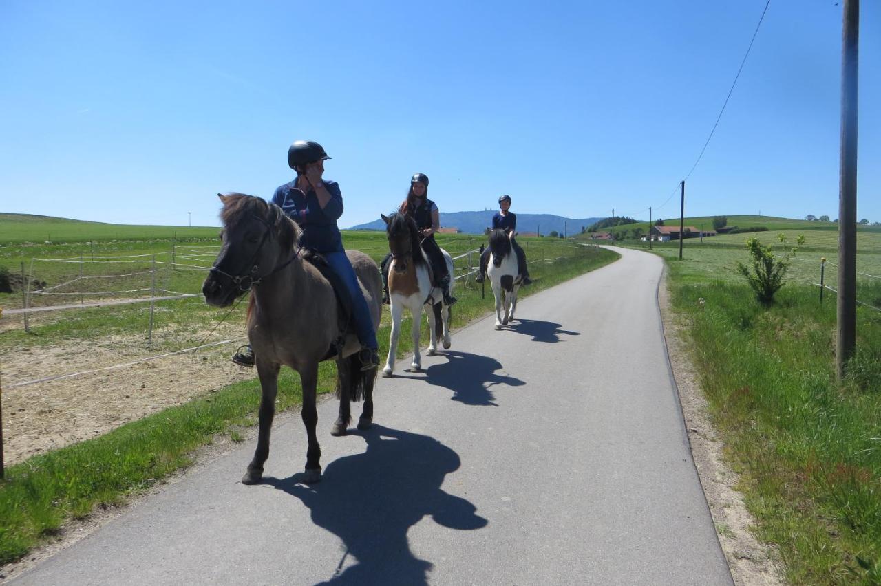 Apartamento Ponyhof Adam Urlaub Auf Dem Bauernhof *