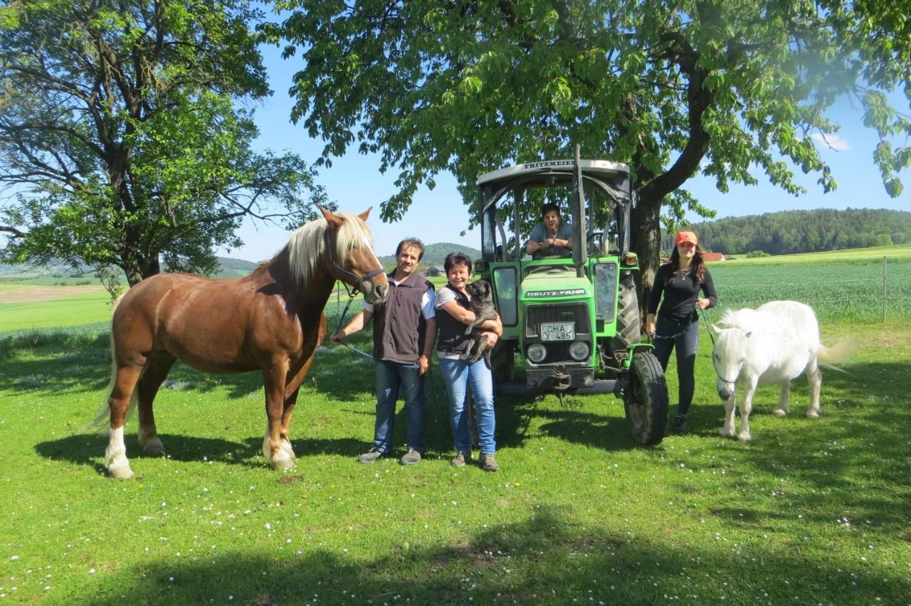Ponyhof Adam Urlaub Auf Dem Bauernhof *