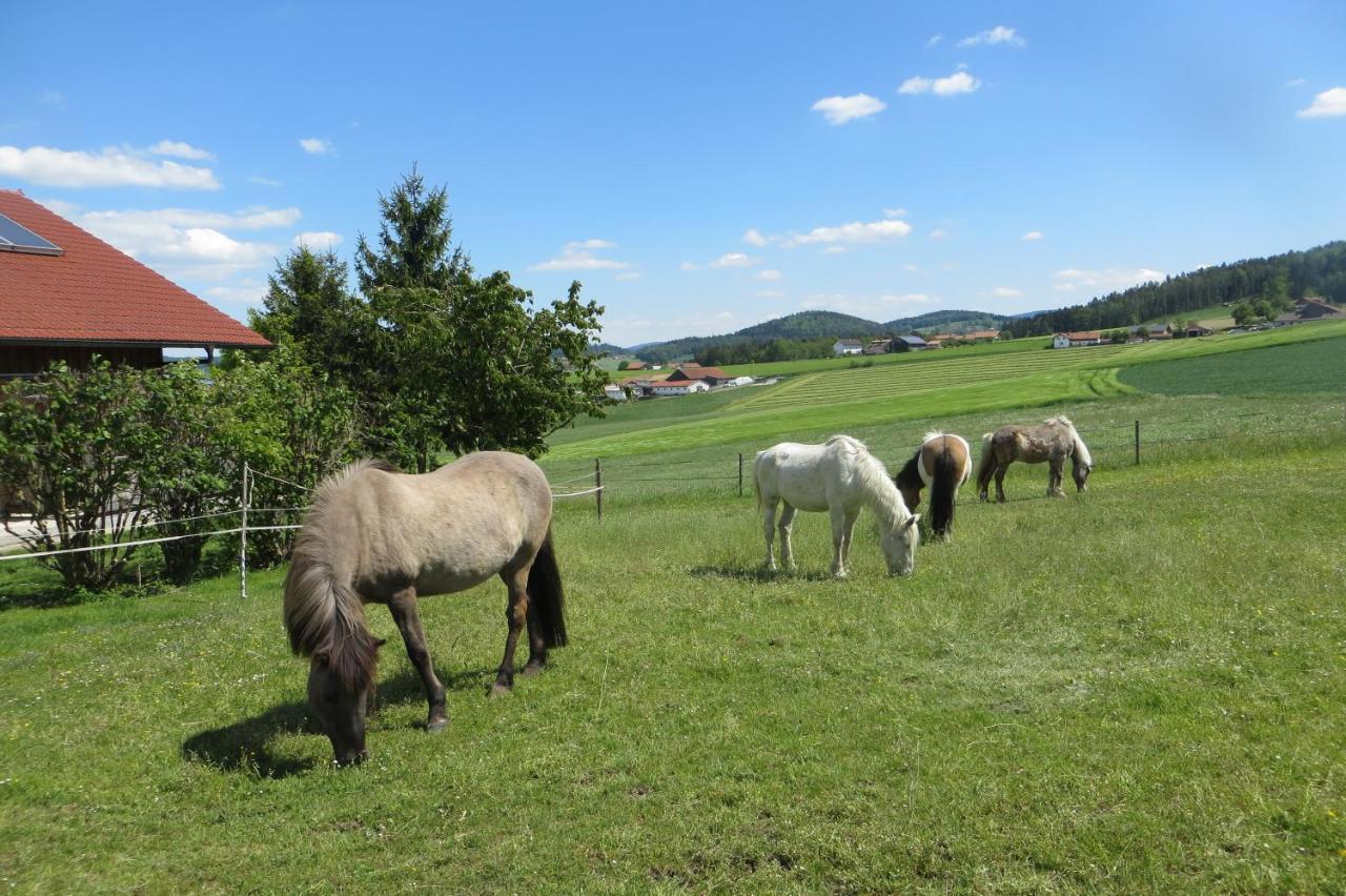 Ponyhof Adam Urlaub Auf Dem Bauernhof * Eschlkam