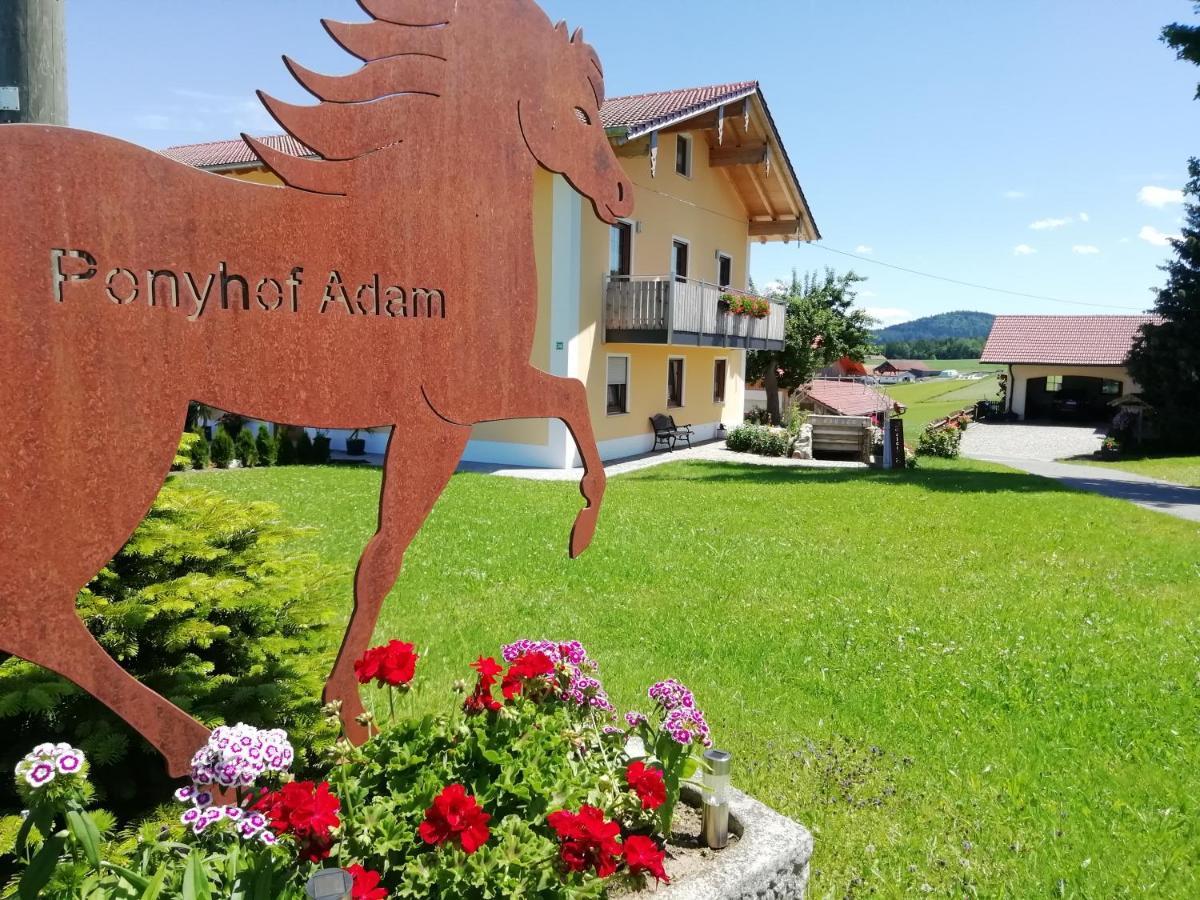 Ponyhof Adam Urlaub Auf Dem Bauernhof Apartment