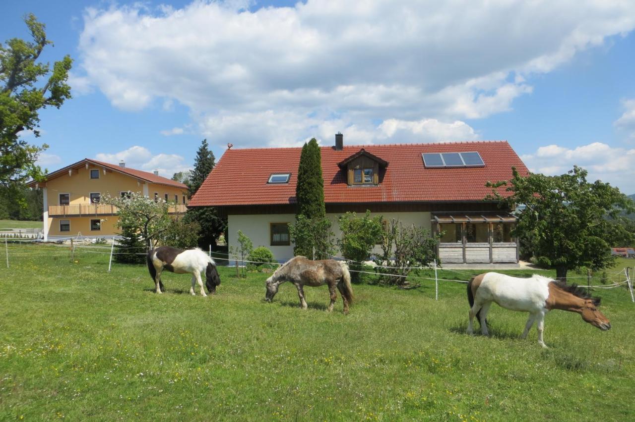Apartment Ponyhof Adam Urlaub Auf Dem Bauernhof *