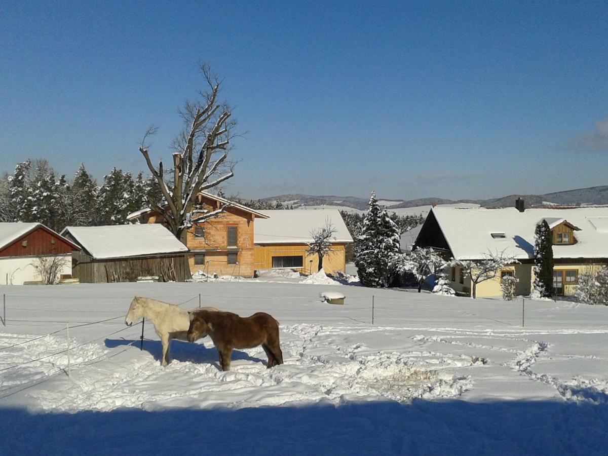 Ponyhof Adam Urlaub Auf Dem Bauernhof Eschlkam
