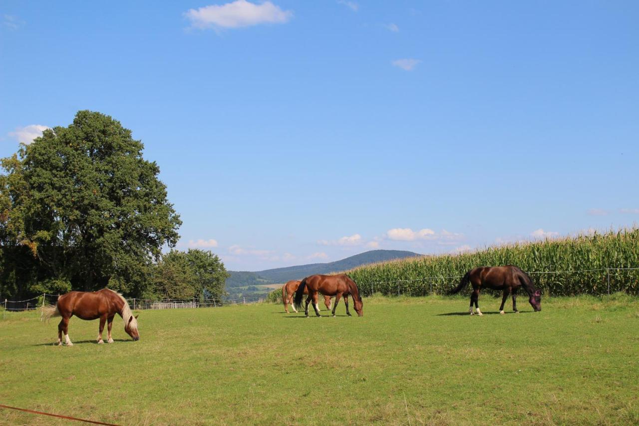 Apartment Ponyhof Adam Urlaub Auf Dem Bauernhof *