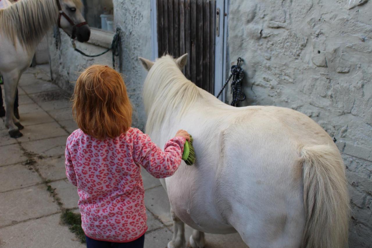 Ponyhof Adam Urlaub Auf Dem Bauernhof Apartment Eschlkam