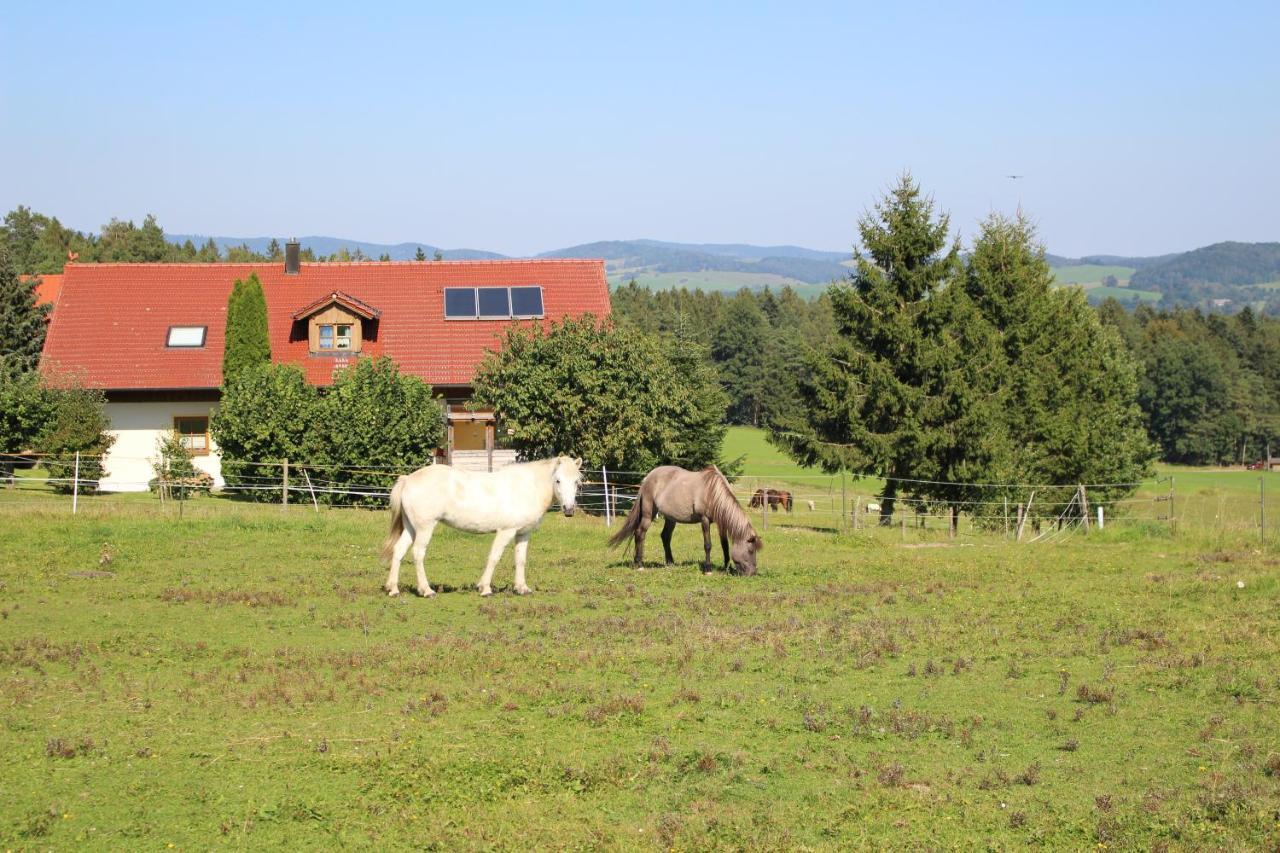 Ponyhof Adam Urlaub Auf Dem Bauernhof Eschlkam