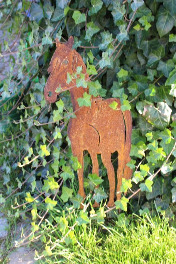 Ponyhof Adam Urlaub Auf Dem Bauernhof *