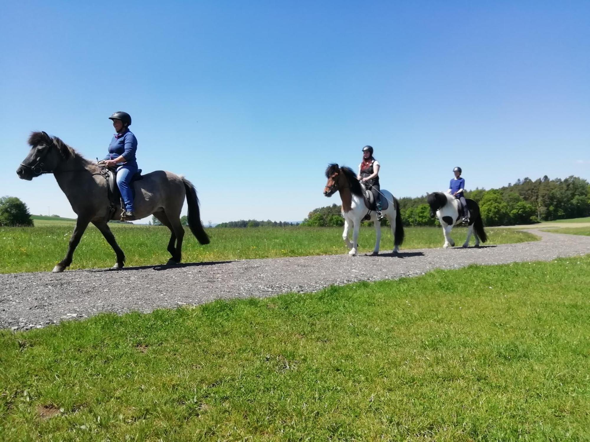 Ponyhof Adam Urlaub Auf Dem Bauernhof Apartment Eschlkam