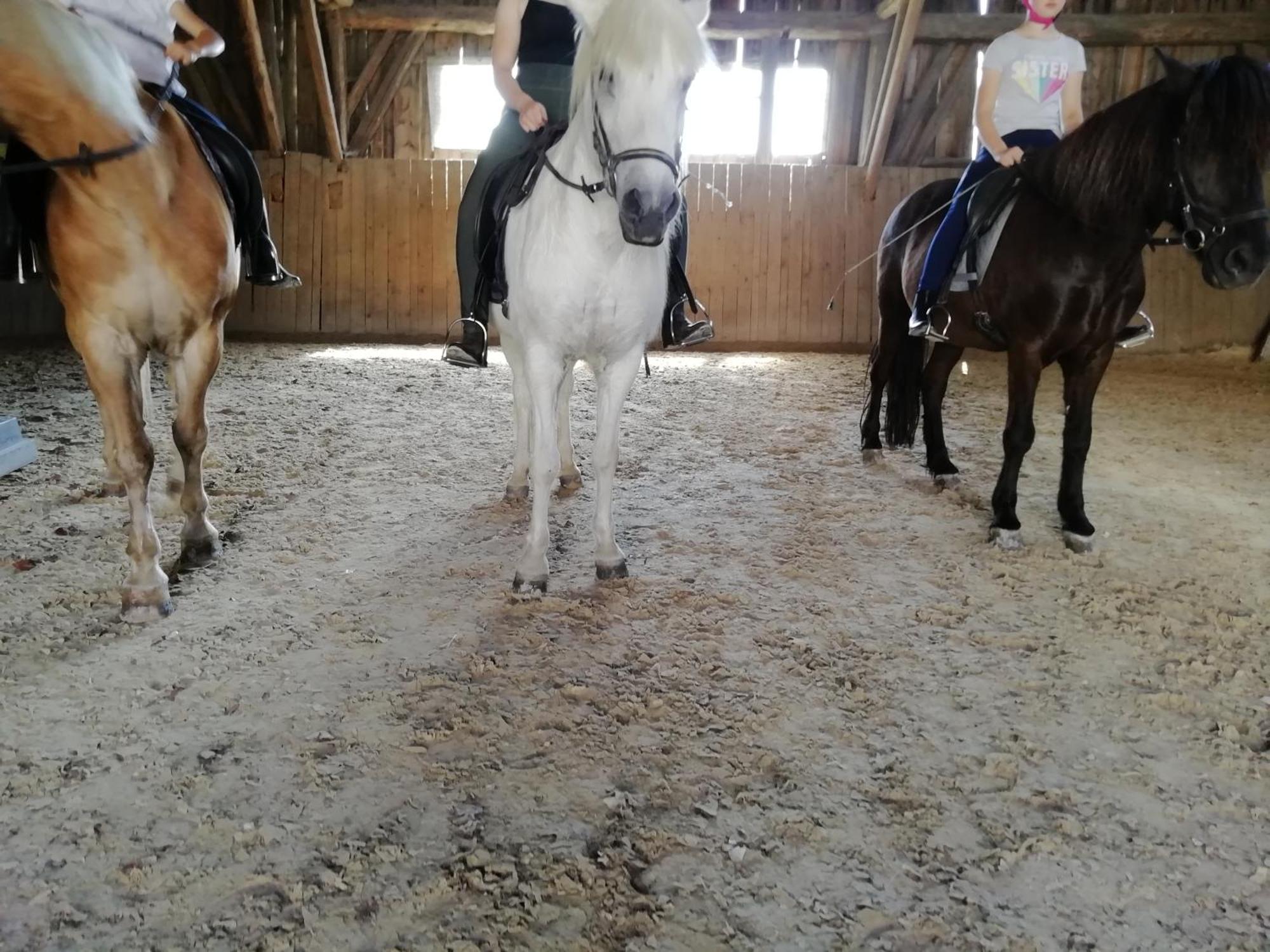 Ponyhof Adam Urlaub Auf Dem Bauernhof Eschlkam