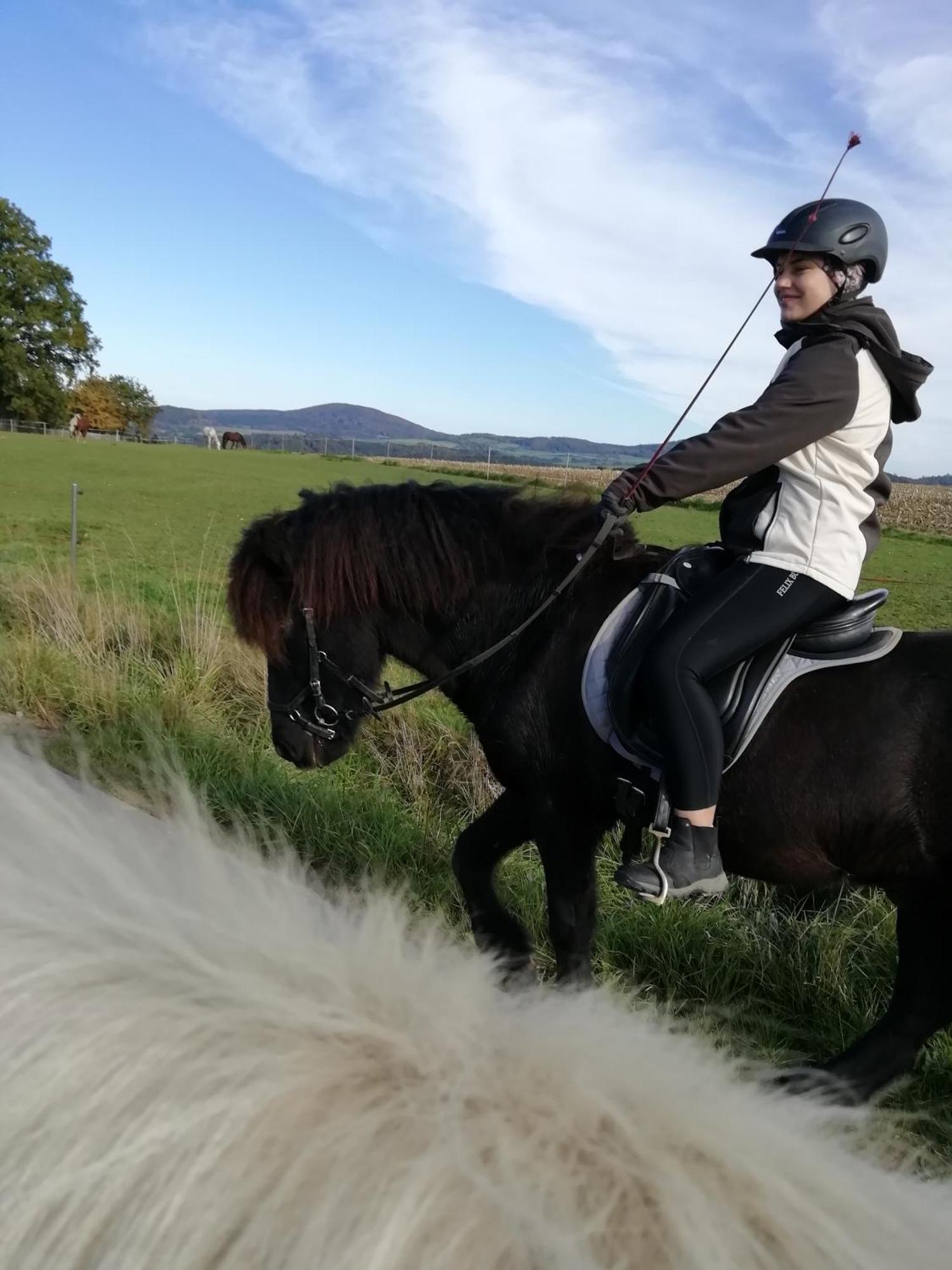 Ponyhof Adam Urlaub Auf Dem Bauernhof * Eschlkam