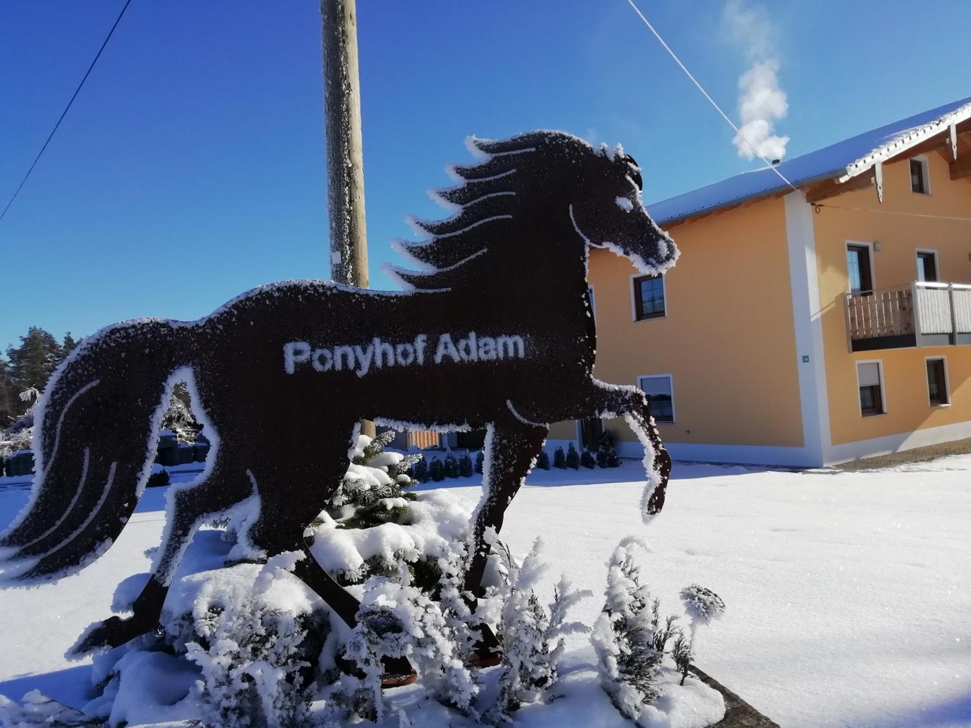 Ponyhof Adam Urlaub Auf Dem Bauernhof