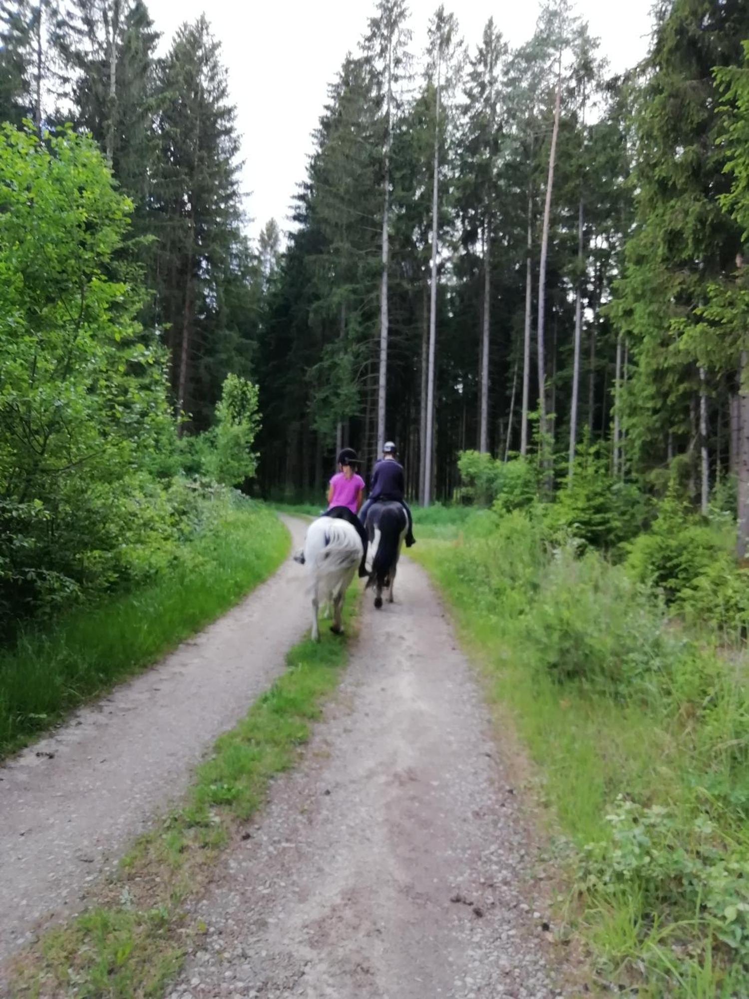 Apartamento Ponyhof Adam Urlaub Auf Dem Bauernhof Eschlkam